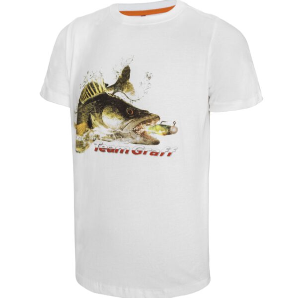 _C9A0035 kopia