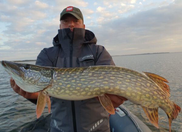 GRAFF HEILBUTT ANGELJACKE ANTHRAZIT-GRAU BRATEX 20000/20000 PROFESSIONELL-LINE – Bild 4