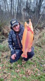 BertIMG-20221203-WA0019 (002)