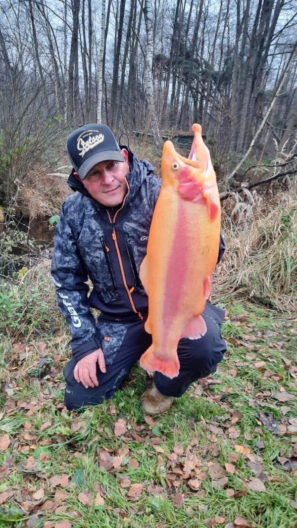 BertIMG-20221203-WA0019 (002)