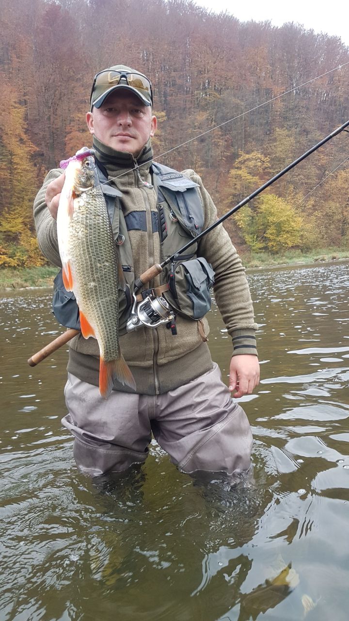 Wisent5-jpg Wisent5.jpg